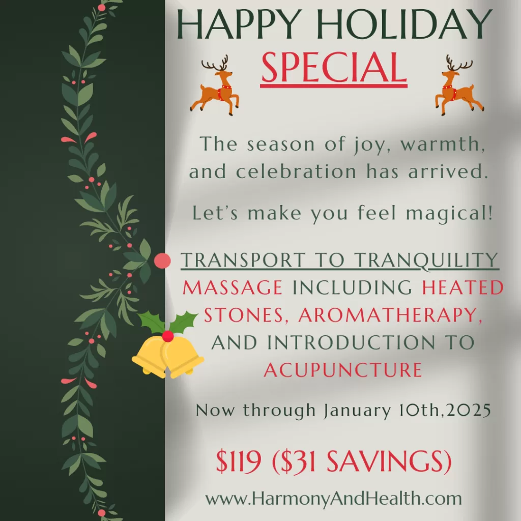 holiday special flyer